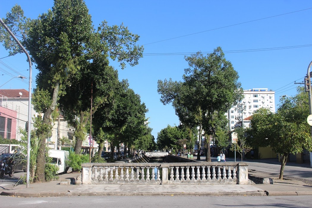 Rua arborizada no bairro do Campo Grande, em Santos