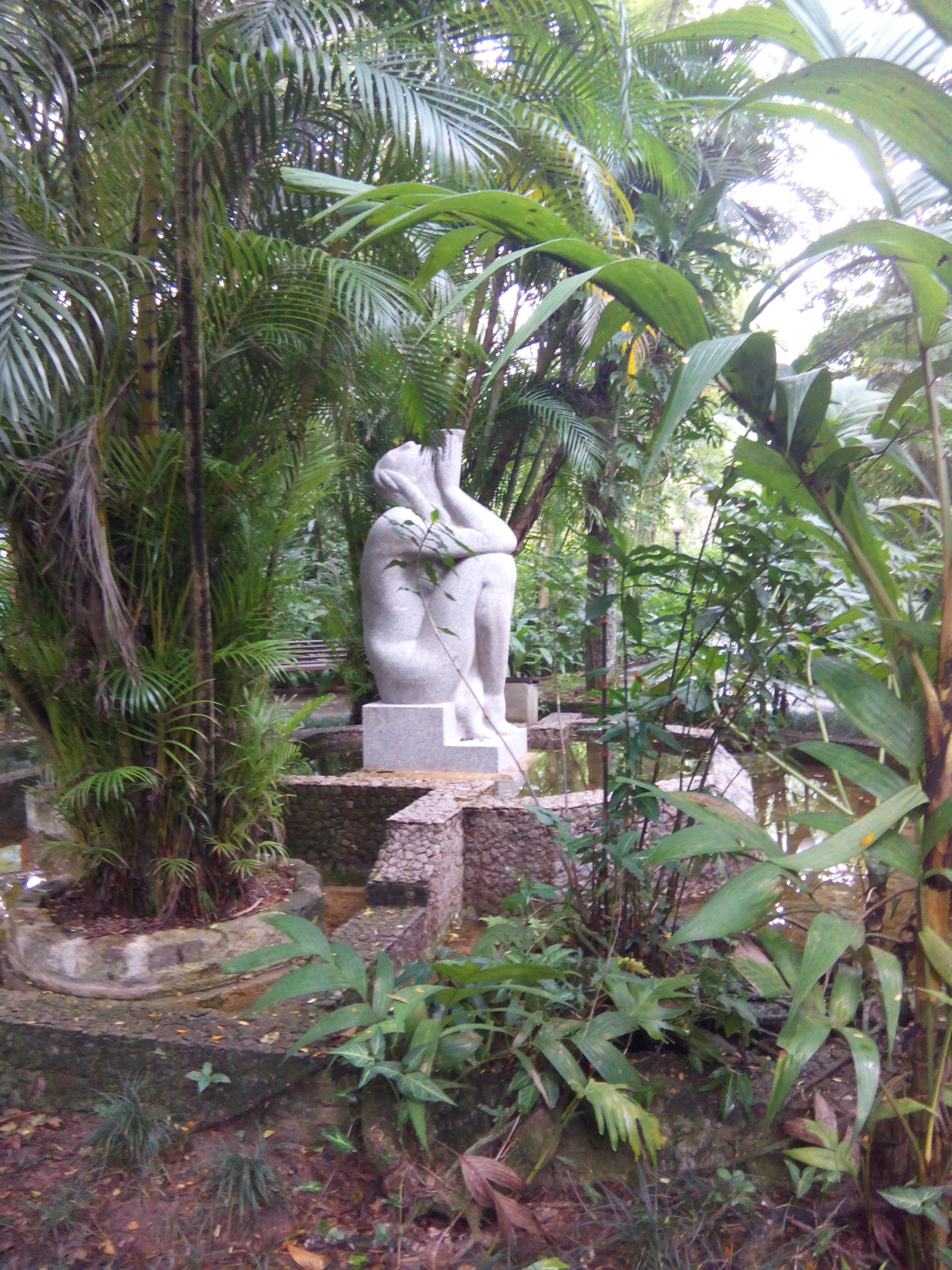 Vegetação densa e caminho interno do Orquidário Municipal de Santos
