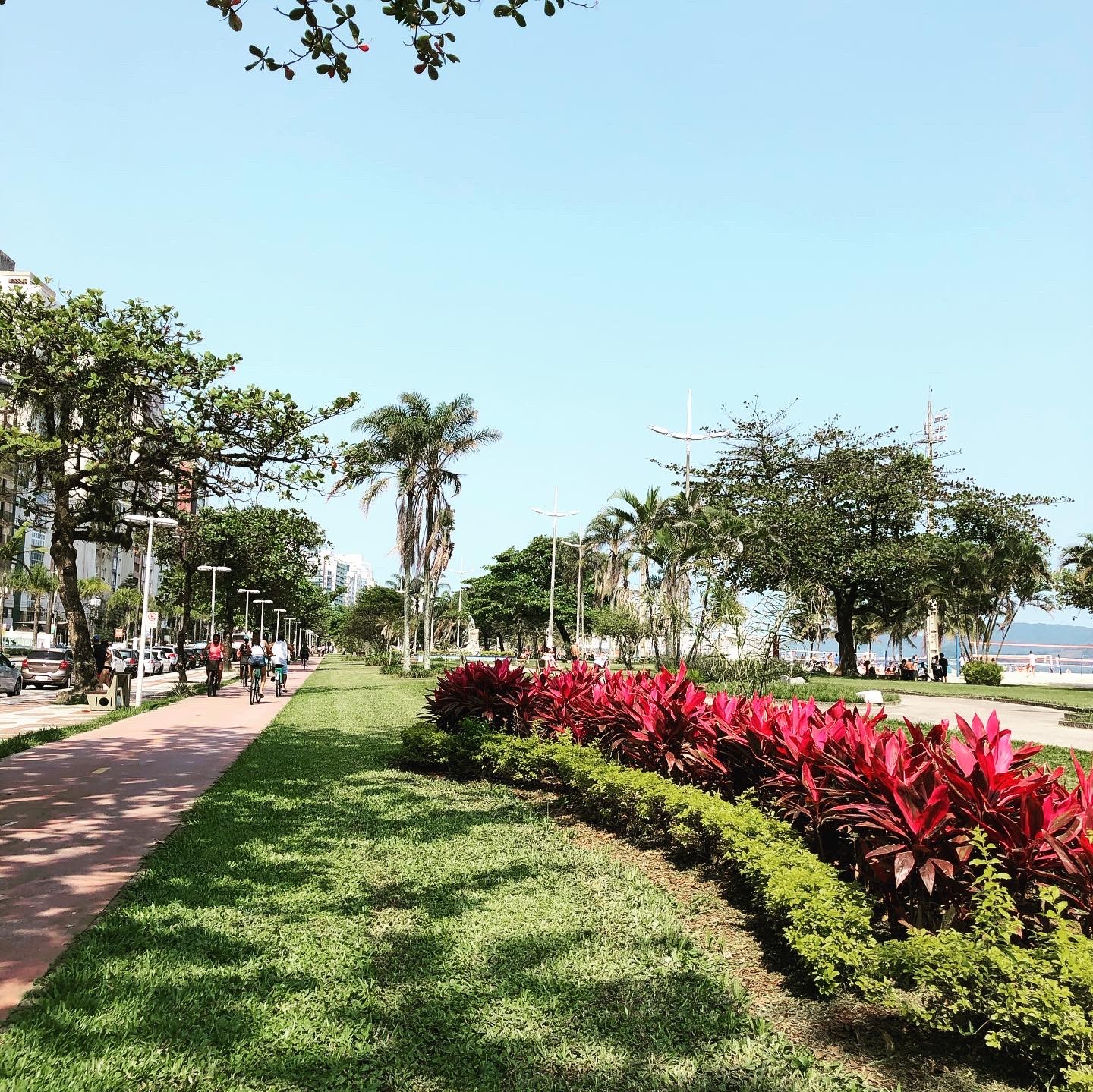 Jardim da orla de Santos com ciclovia, gramado e canteiros floridos